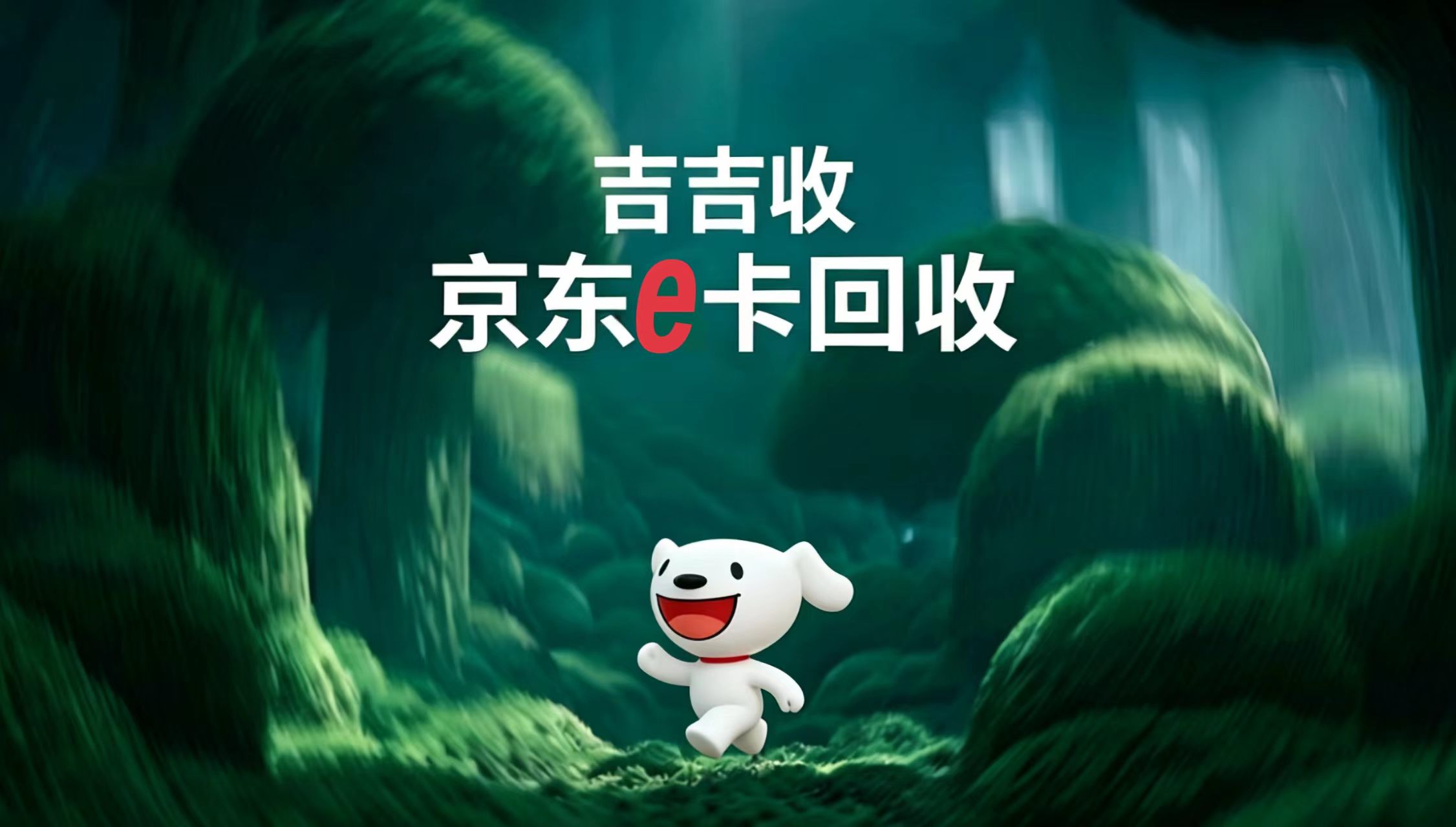 京东 e 卡套装别吃灰！速来变现💰