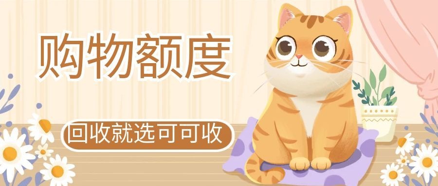购物额度闲置不用？安全回收攻略来了，流程快收益稳